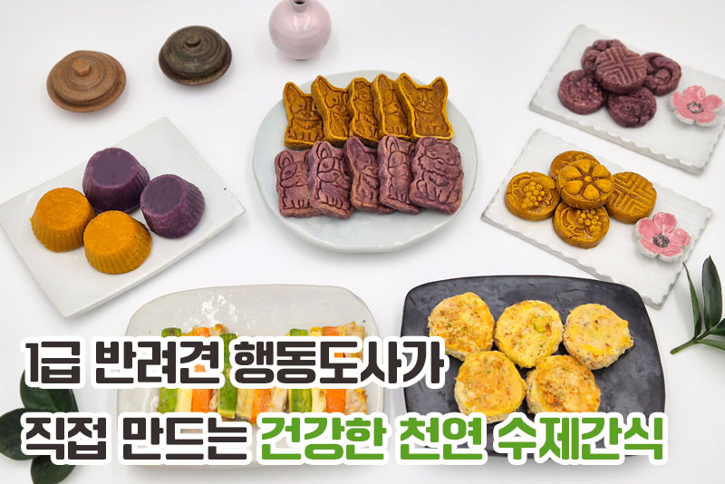 무주 견문이불여일견