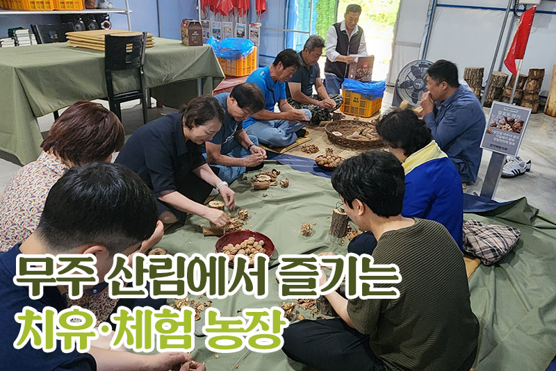 무주 무주웰 농업회사법인