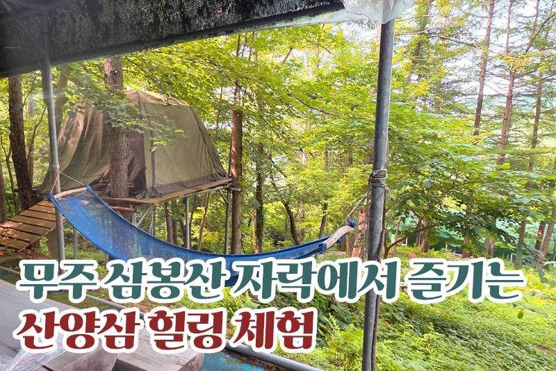 무주 황금봉산삼숲
