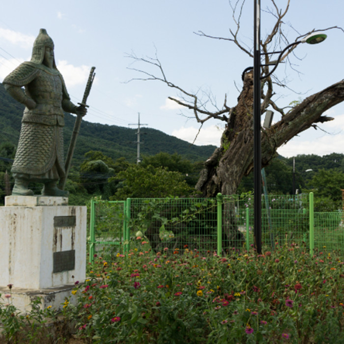 괴산 비학봉마을(갈은권역)