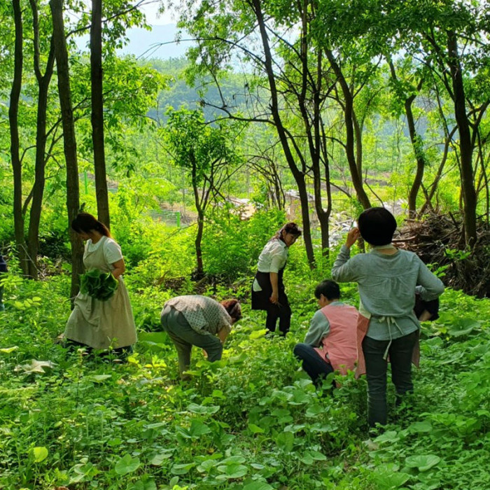무주 산채원