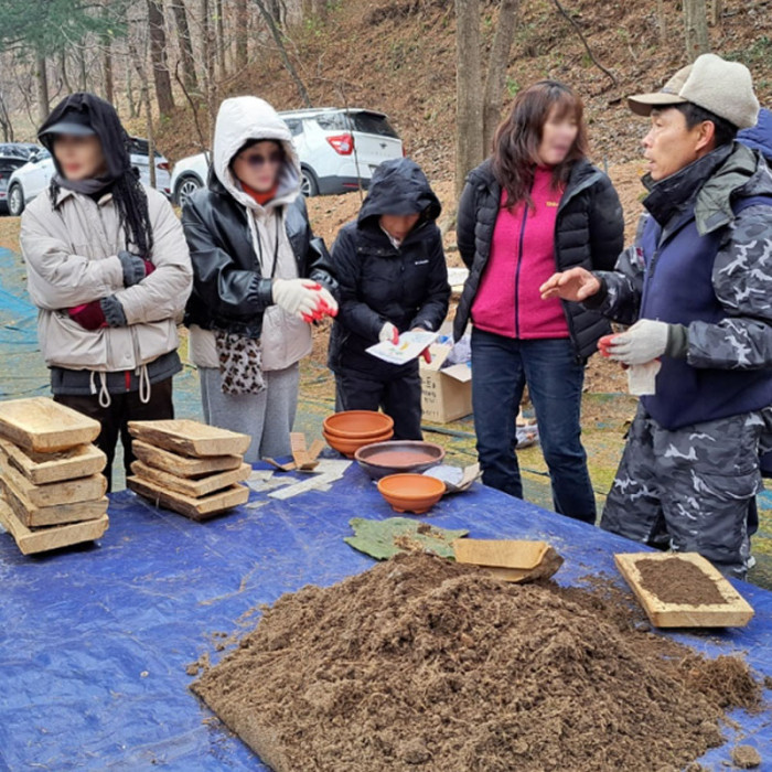 무주 황금봉산삼숲