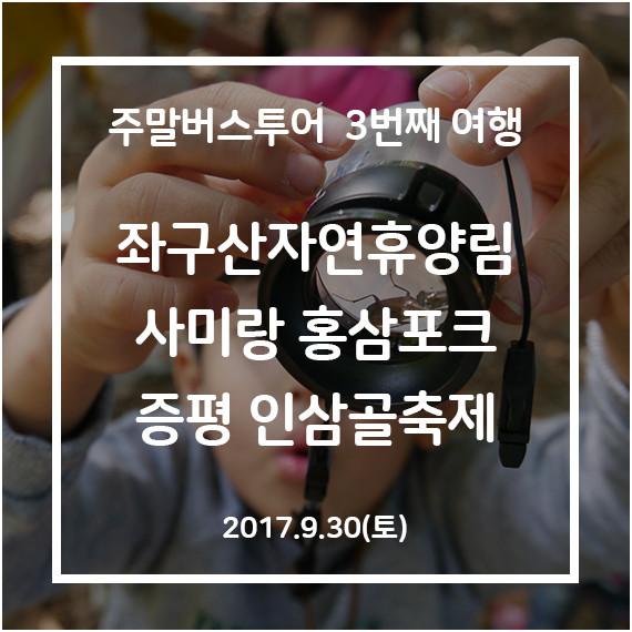 [청주-증평] 증평 인삼골축제 여행