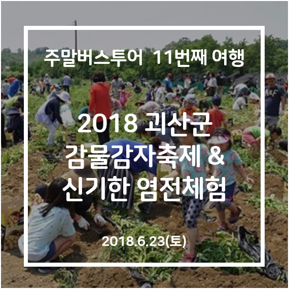 [청주-괴산] 감물감자 축제여행