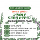 [종료]예자연과함께하는 천연삼푸만들기(2차)